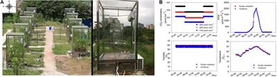 Higher Atmospheric CO2 Levels Favor <mark class="highlighted">C3 Plants</mark> Over C4 Plants in Utilizing Ammonium as a Nitrogen Source
